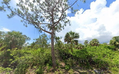 13465 & 13473 BENDER Avenue, Port Charlotte, FL, 33953 — photo 2