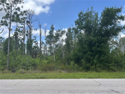 14309 SANILAC Avenue, Port Charlotte, FL, 33981 — photo 2