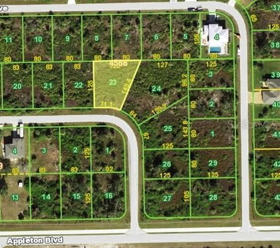 13428 GALVESTON Avenue, Port Charlotte, FL, 33981 — photo 2