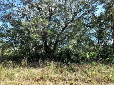 LONGFELLOW Lane, North Port, FL, 34288 — photo 2
