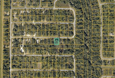 Lot #45 AMES Avenue, North Port, FL, 34291 — photo 2