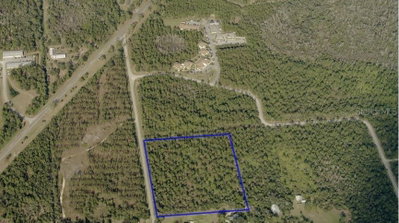 000 OLD HAW CREEK Road, Bunnell, FL, 32110 — photo 2