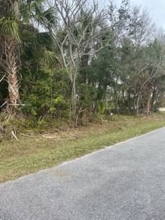 15 CEDARDALE Court, Palm Coast, FL, 32137 — photo 2