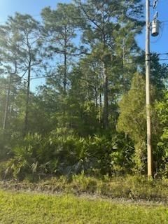 6044 NUTWOOD Avenue, Bunnell, FL, 32110 — photo 2