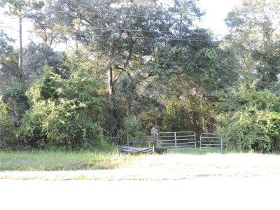 COUNTY ROAD 2006 WEST, Bunnell, FL, 32110 — photo 2
