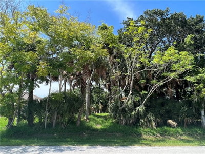 111 CIMMARON Drive, Palm Coast, FL, 32137 — photo 2