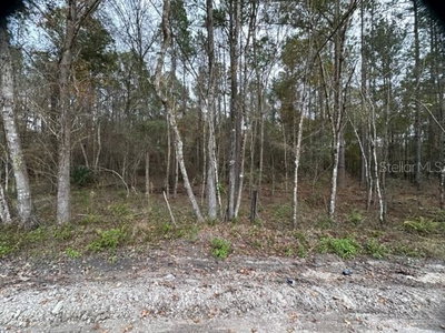 HIGH FALLS Road, Lake City, FL, 32025 — photo 2