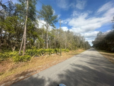 4840 FLAGLER ESTATES Boulevard, Hastings, FL, 32145 — photo 2