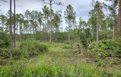 5814 MAHOGANY Boulevard, Bunnell, FL, 32110 — photo 2