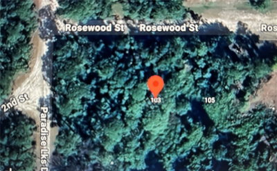 103 ROSEWOOD Street, Georgetown, FL, 32139 — photo 2