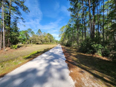 112 MOSSWOOD Street, Georgetown, FL, 32139 — photo 2