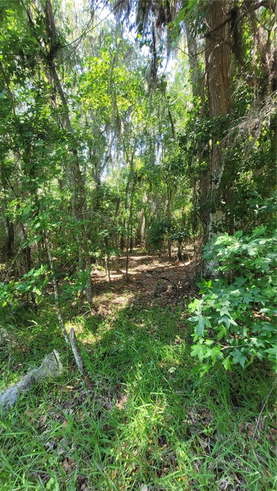 21779 115TH Avenue, Earleton, FL, 32631 — photo 2