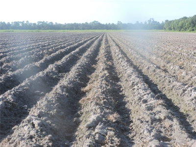COUNTY ROAD 108 Road, Bunnell, FL, 32110 — photo 2
