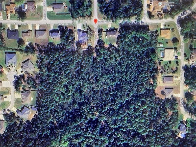 000 SEFERIS PATH Path, Palm Coast, FL, 32164 — photo 2