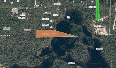 XX CREASMAN Road, Crescent City, FL, 32112 — photo 2