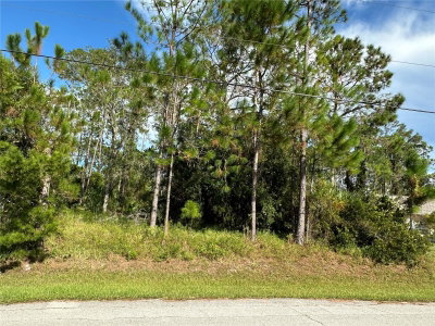 85 PRESIDENTIAL Lane, Palm Coast, FL, 32164 — photo 2