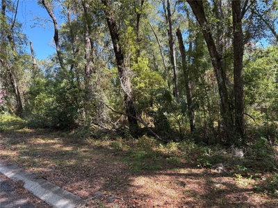1222 CLOVER Terrace, Inverness, FL, 34452 — photo 2