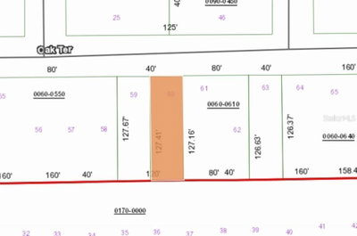 UNASSIGNED Road, Interlachen, FL, 32148 — photo 2
