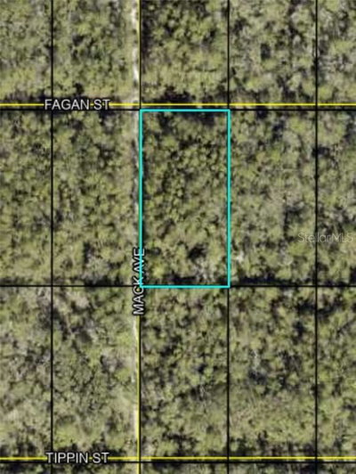 FAGAN, Hastings, FL, 32145 — photo 2