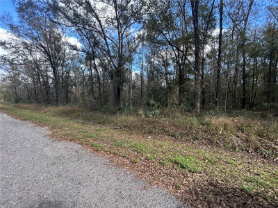 10040 MCMAHON Avenue, Hastings, FL, 32145 — photo 2