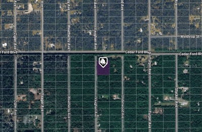 10410 VAUGHAN Avenue, Hastings, FL, 32145 — photo 2
