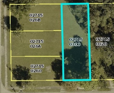 2717 PASTOR JAMES A BING Way, Fort Myers, FL, 33916 — photo 2