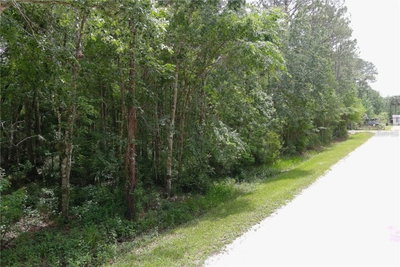 1823 HONEYTREE Street, Bunnell, FL, 32110 — photo 2