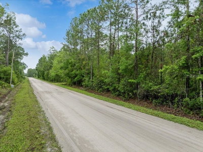 1756 HAZELNUT Street, Bunnell, FL, 32110 — photo 2