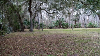 155 FRAN Lane, Satsuma, FL, 32189 — photo 2