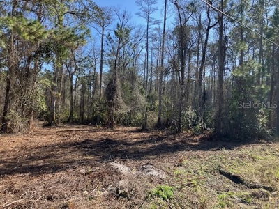 1881 HAZELNUT Street, Bunnell, FL, 32110 — photo 2
