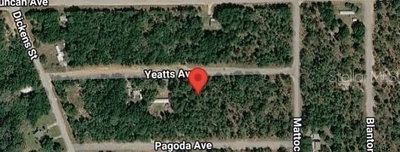 111 YEATTS Avenue, Interlachen, FL, 32148 — photo 2