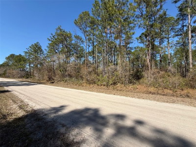 4664 CLOVE Avenue, Bunnell, FL, 32110 — photo 2