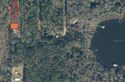 131 ORANGE Drive, Florahome, FL, 32140 — photo 2