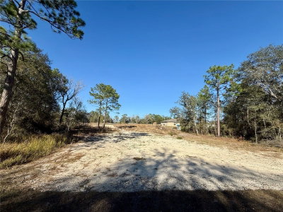 47 BAHIA COURT Track, Ocala, FL, 34472 — photo 2