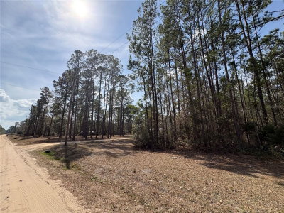 4385 BONDARENKO Road, Keystone Heights, FL, 32656 — photo 2