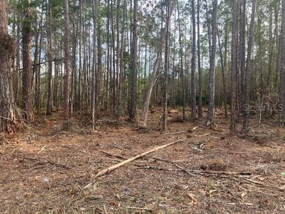 4515 MAHOGANY Boulevard, Bunnell, FL, 32110 — photo 2