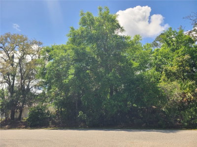 17 FARVER Lane, Palm Coast, FL, 32137 — photo 2