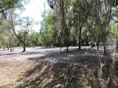 COUNTY ROAD 309, Crescent City, FL, 32112 — photo 2