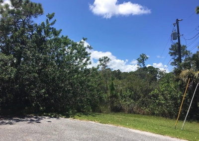26 LUTHER Drive, Palm Coast, FL, 32137 — photo 2
