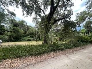 16 CAROLINA Highway, Palm Coast, FL, 32137 — photo 2