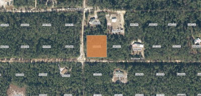 XX BLOSSOM, Florahome, FL, 32140 — photo 2