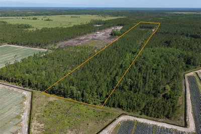 15539 COUNTY RD 305, Bunnell, FL, 32110 — photo 2