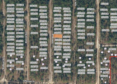 XX JACKSON Drive, Hawthorne, FL, 32640 — photo 2