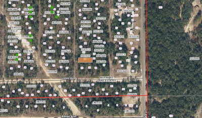 XX PINE WAY, Interlachen, FL, 32148 — photo 2