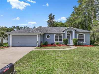 29 ETHAN ALLEN Drive, Palm Coast, FL, 32164 — photo 2