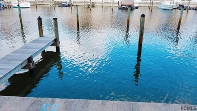 53 MARINA Cove, Palm Coast, FL, 32137 — photo 2