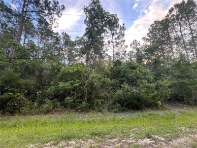 1411 ELDER Street, Bunnell, FL, 32110 — photo 2