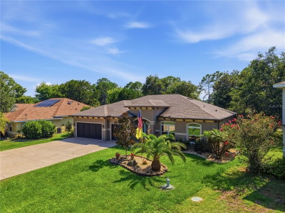 225 BIRCHWOOD Drive, Palm Coast, FL, 32137 — photo 2