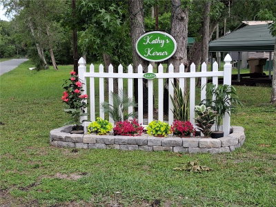 56314 BLUE CREEK Road, Astor, FL, 32102 — photo 2