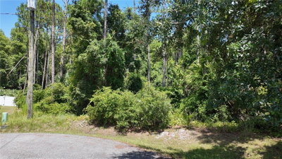 8 ZAFTIG Court, Palm Coast, FL, 32164 — photo 2